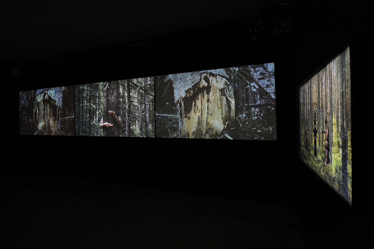 Video installations from 